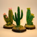 Cacti - lightbox
